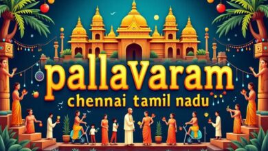 How to Reach Pallavaram Chennai Tamil Nadu – Transport Guide