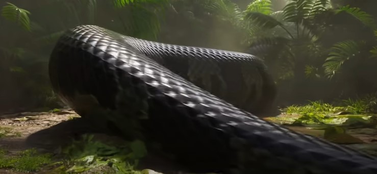 Anaconda