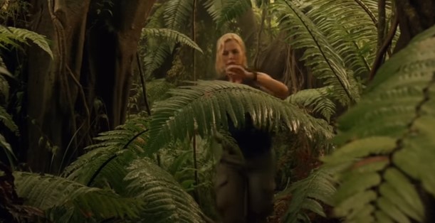 Anaconda
