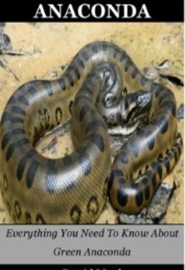 Anaconda