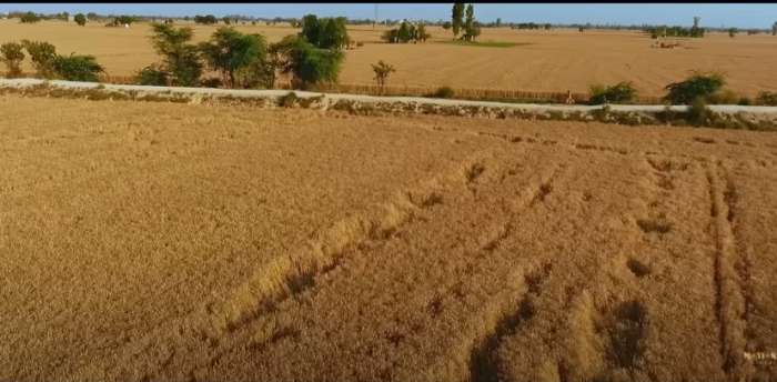 yeh hai mera watan